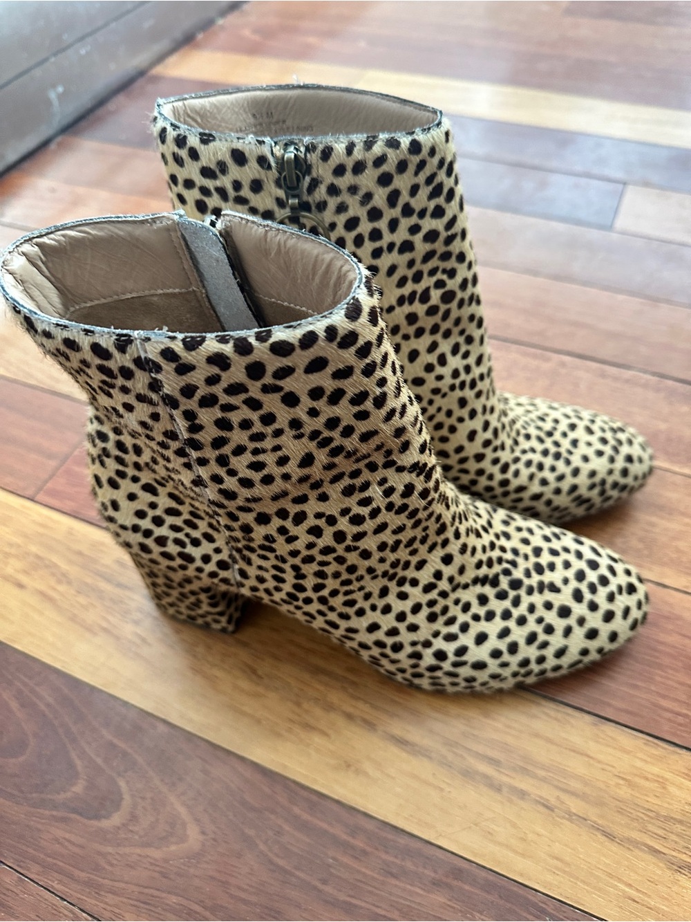 Able Leopard Print Ankle Boots - Beige/Black